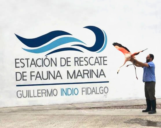 ESTACIÓN DE RESCATE DE FAUNA MARINA